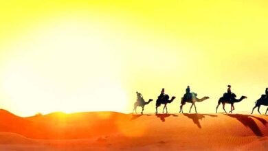 Different types of Desert Safari Experiences to try in Dubai