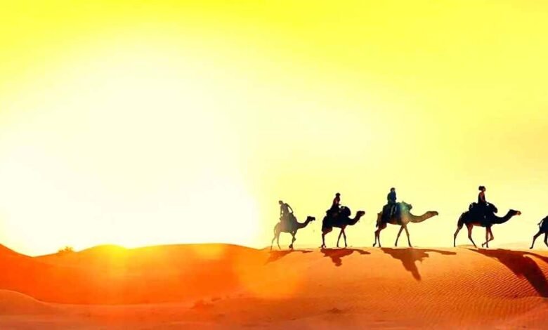 Different types of Desert Safari Experiences to try in Dubai
